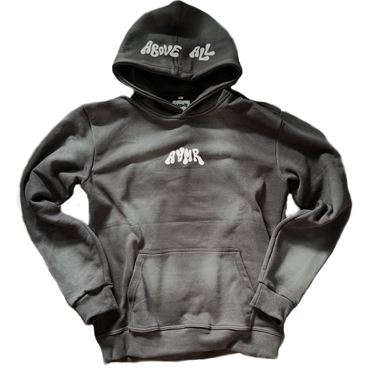AAMR hoodie